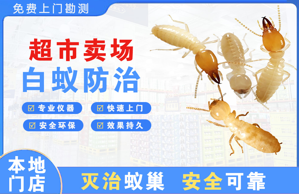 靖江超市卖场白蚁防治