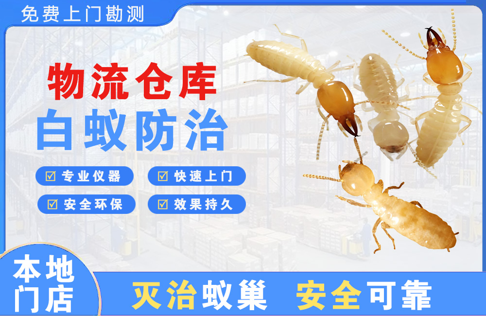 靖江物流仓库白蚁防治