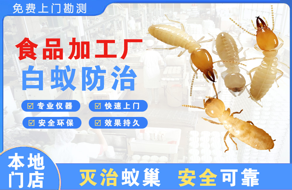 靖江食品加工厂白蚁防治