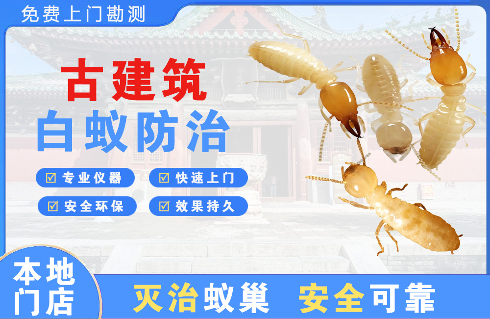 靖江古建筑白蚁防治