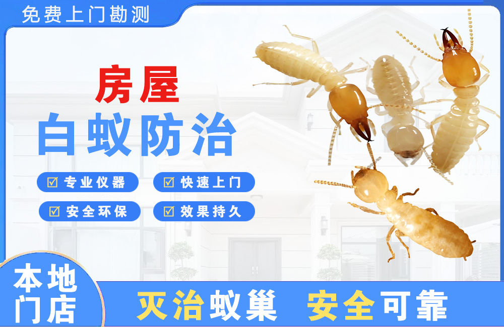 靖江房屋白蚁防治